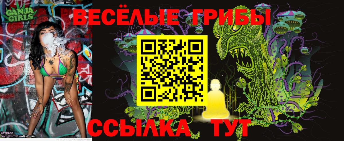 Брянск  Галлюциногенные грибы Psilocybe  Вход с VPN  Галлюциногенные грибы Psilocybine cubensis 